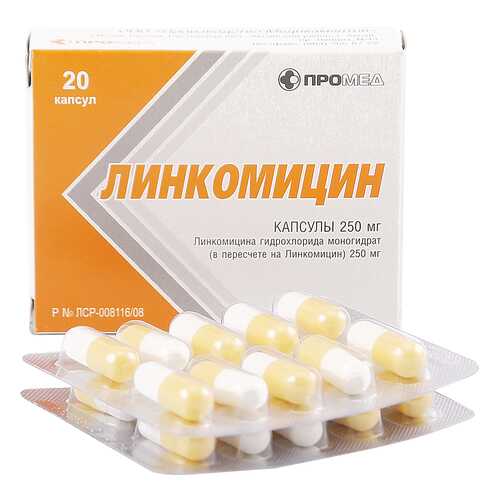 Линкомицин гидрохлорид капсулы 0,25 г 20 шт. в Мелодия здоровья