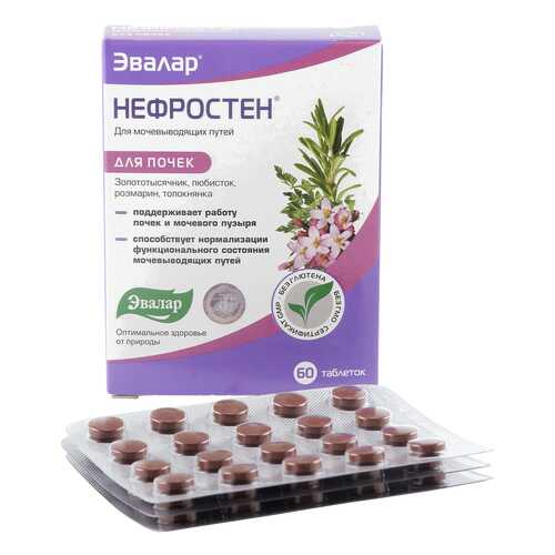 Нефростен таблетки, покрытые оболочкой 0,25 г 60 шт. в Мелодия здоровья